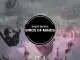 Cisco De Sol, Birds of Minds, Original Mix, mp3, download, datafilehost, toxicwap, fakaza, Afro House, Afro House 2020, Afro House Mix, Afro House Music, Afro Tech, House Music