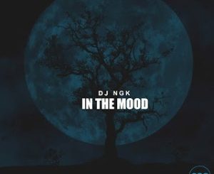 DJ NGK, Am In The Mood, AfroDrum Mix, mp3, download, datafilehost, toxicwap, fakaza, Afro House, Afro House 2020, Afro House Mix, Afro House Music, Afro Tech, House Music