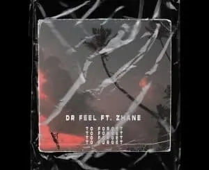 Dr Feel, To Forget, Zhane, mp3, download, datafilehost, toxicwap, fakaza, Afro House, Afro House 2020, Afro House Mix, Afro House Music, Afro Tech, House Music