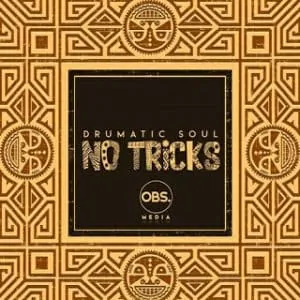 Drumatic Soul, No Tricks, download ,zip, zippyshare, fakaza, EP, datafilehost, album, Afro House, Afro House 2020, Afro House Mix, Afro House Music, Afro Tech, House Music