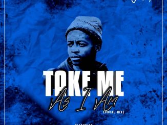 Jebha, Take Me As I Am, Vocal Mix, Boohle, Tee Jay, Sk, mp3, download, datafilehost, toxicwap, fakaza, Afro House, Afro House 2020, Afro House Mix, Afro House Music, Afro Tech, House Music