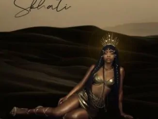 LaSauce, Skhathi, mp3, download, datafilehost, toxicwap, fakaza, Afro House, Afro House 2020, Afro House Mix, Afro House Music, Afro Tech, House Music