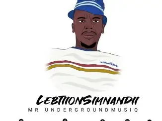 Lebtiion Siimnandi, Dr.sauce, Piano Groove Vol.8, Strictly DJ King Tara, Mdu a.k.a Trp, mp3, download, datafilehost, toxicwap, fakaza, House Music, Amapiano, Amapiano 2020, Amapiano Mix, Amapiano Music