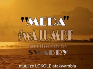 Meda, Wajumbe, mp3, download, datafilehost, toxicwap, fakaza, Afro House, Afro House 2020, Afro House Mix, Afro House Music, Afro Tech, House Music