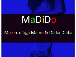 Mizzer, Madido, Tiga Maine, Dlaka Dlaka, mp3, download, datafilehost, toxicwap, fakaza, House Music, Amapiano, Amapiano 2020, Amapiano Mix, Amapiano Music