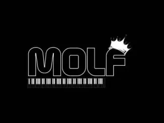 MoLF, 0417, download ,zip, zippyshare, fakaza, EP, datafilehost, album, Afro House, Afro House 2020, Afro House Mix, Afro House Music, Afro Tech, House Music