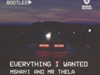 Mr Thela, Mshayi, Everything I Wanted, Bootleg, mp3, download, datafilehost, toxicwap, fakaza, Gqom Beats, Gqom Songs, Gqom Music, Gqom Mix, House Music