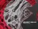 Secret Souls, Fractals, download ,zip, zippyshare, fakaza, EP, datafilehost, album, Afro House, Afro House 2020, Afro House Mix, Afro House Music, Afro Tech, House Music