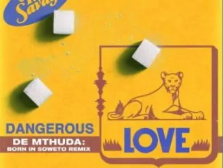 Tiwa Savage, Dangerous Love, De Mthuda Born In Soweto Remix, mp3, download, datafilehost, toxicwap, fakaza, House Music, Amapiano, Amapiano 2020, Amapiano Mix, Amapiano Music