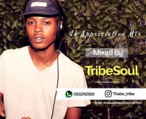 TribeSoul, 1k Appreciation Mix, mp3, download, datafilehost, toxicwap, fakaza, Afro House, Afro House 2020, Afro House Mix, Afro House Music, Afro Tech, House Music