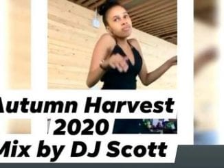 DJ Scott, Autumn ’20, mp3, download, datafilehost, toxicwap, fakaza, Afro House, Afro House 2020, Afro House Mix, Afro House Music, Afro Tech, House Music