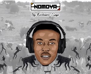 Exclusive Sage, Nomoya, Original, mp3, download, datafilehost, toxicwap, fakaza, Afro House, Afro House 2020, Afro House Mix, Afro House Music, Afro Tech, House Music