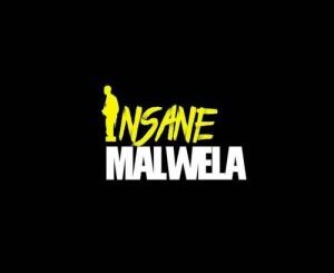 Insane Malwela, Cheestos, Demented Us, Afro House, Afro House 2019, Afro House Mix, Afro House Music, Afro Tech, House Music