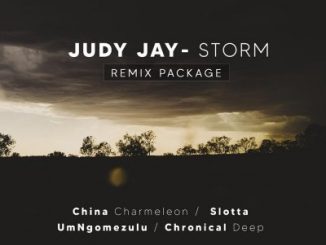 Judy Jay, Storm, China Charmeleon The Animal Mix, mp3, download, datafilehost, toxicwap, fakaza, Afro House, Afro House 2020, Afro House Mix, Afro House Music, Afro Tech, House Music