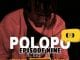 LebtoniQ, POLOPO 09 Mix, mp3, download, datafilehost, toxicwap, fakaza, Afro House, Afro House 2020, Afro House Mix, Afro House Music, Afro Tech, House Music