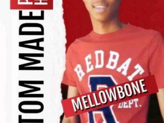 MellowBone, Custom Made Vol. 3, Private School Yanos, mp3, download, datafilehost, toxicwap, fakaza, Afro House, Afro House 2020, Afro House Mix, Afro House Music, Afro Tech, House Music