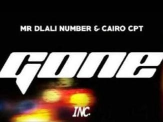 Mr Dlali Number, Cairo CPT, Gone, mp3, download, datafilehost, toxicwap, fakaza, Gqom Beats, Gqom Songs, Gqom Music, Gqom Mix, House Music