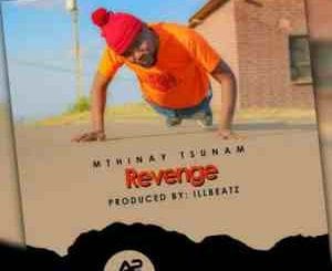Mthinay Tsunam, Revenge, mp3, download, datafilehost, toxicwap, fakaza, Hiphop, Hip hop music, Hip Hop Songs, Hip Hop Mix, Hip Hop, Rap, Rap Music