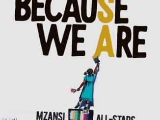 Mzansi All-Stars, Because We Are, mp3, download, datafilehost, toxicwap, fakaza, Afro House, Afro House 2020, Afro House Mix, Afro House Music, Afro Tech, House Music