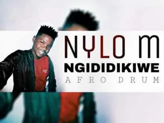 Nylo M, Ngididikiwe, Afro Drum, mp3, download, datafilehost, toxicwap, fakaza, Afro House, Afro House 2020, Afro House Mix, Afro House Music, Afro Tech, House Music