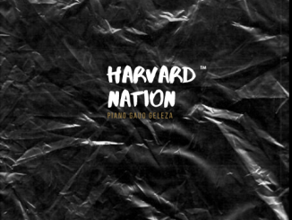 P-Man, Harvard Nation, Piano Gauo Geleza, download ,zip, zippyshare, fakaza, EP, datafilehost, album, House Music, Amapiano, Amapiano 2020, Amapiano Mix, Amapiano Music