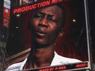 P-Man, Production Mix 003, Harvard Piano, mp3, download, datafilehost, toxicwap, fakaza, House Music, Amapiano, Amapiano 2020, Amapiano Mix, Amapiano Music