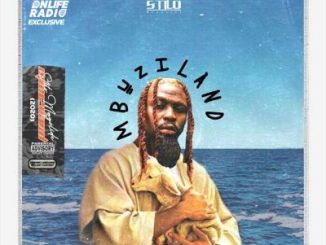 Stilo Magolide, Mbuzi In The Water, mp3, download, datafilehost, toxicwap, fakaza, Hiphop, Hip hop music, Hip Hop Songs, Hip Hop Mix, Hip Hop, Rap, Rap Music
