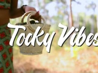 Tocky Vibes, Wadhakwa Nge Doro, Video, mp3, download, datafilehost, toxicwap, fakaza, Afro House, Afro House 2020, Afro House Mix, Afro House Music, Afro Tech, House Music