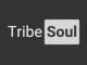 TribeSoul, Sentimental, mp3, download, datafilehost, toxicwap, fakaza, Afro House, Afro House 2020, Afro House Mix, Afro House Music, Afro Tech, House Music