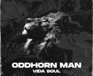 Vida Soul, Oddhorn Man, mp3, download, datafilehost, toxicwap, fakaza, Afro House, Afro House 2020, Afro House Mix, Afro House Music, Afro Tech, House Music
