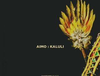 Aimo, Kaluli, Original Mix, mp3, download, datafilehost, toxicwap, fakaza, Afro House, Afro House 2020, Afro House Mix, Afro House Music, Afro Tech, House Music