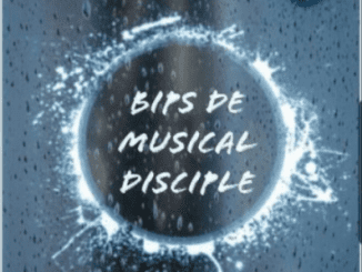 Bios Da Musical Disciple, Authentic Soul, mp3, download, datafilehost, toxicwap, fakaza, House Music, Amapiano, Amapiano 2020, Amapiano Mix, Amapiano Music