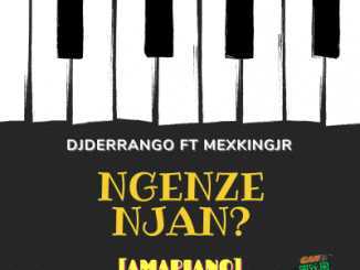 DJ Derrango, Ngenze Njan, Mex King Jr, mp3, download, datafilehost, toxicwap, fakaza, House Music, Amapiano, Amapiano 2020, Amapiano Mix, Amapiano Music