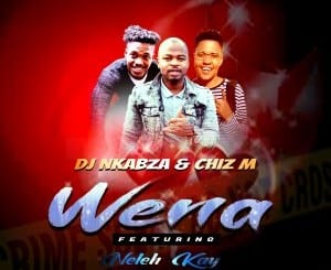 DJ Nkabza, Chiz M, Wena, Neleh Kay, mp3, download, datafilehost, toxicwap, fakaza, Afro House, Afro House 2020, Afro House Mix, Afro House Music, Afro Tech, House Music