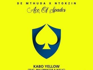 De Mthuda, Ntokzin, Kabo Yellow, MalumNator, Njelic, Video, mp3, download, datafilehost, toxicwap, fakaza, House Music, Amapiano, Amapiano 2020, Amapiano Mix, Amapiano Music