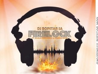 Dj Bopstar SA, FireLock, Dlala PrinceBell, Credule Boyz, mp3, download, datafilehost, toxicwap, fakaza, Gqom Beats, Gqom Songs, Gqom Music, Gqom Mix, House Music