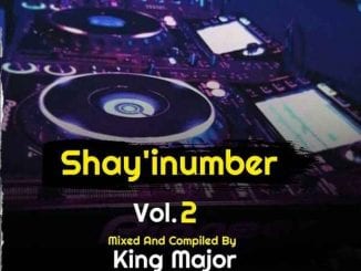 Djy King Major, Shaye i’namba Vol 02 Mix, mp3, download, datafilehost, toxicwap, fakaza, Afro House, Afro House 2020, Afro House Mix, Afro House Music, Afro Tech, House Music
