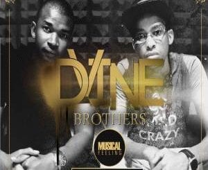 Dvine Brothers, Musical Feeling, download ,zip, zippyshare, fakaza, EP, datafilehost, album, Afro House, Afro House 2020, Afro House Mix, Afro House Music, Afro Tech, House Music