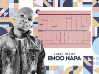 Enoo Napa, Spring Package, Guest Mix, mp3, download, datafilehost, toxicwap, fakaza, Afro House, Afro House 2020, Afro House Mix, Afro House Music, Afro Tech, House Music