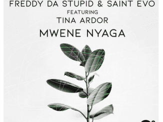 Freddy Da Stupid, Saint Evo, Tina Ardor, Mwene Nyaga, Original Mix, mp3, download, datafilehost, toxicwap, fakaza, Afro House, Afro House 2020, Afro House Mix, Afro House Music, Afro Tech, House Music