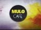 Mulo Cafe, Feel Up The Ngodja, Original Mix, Sir Trill, mp3, download, datafilehost, toxicwap, fakaza, House Music, Amapiano, Amapiano 2020, Amapiano Mix, Amapiano Music