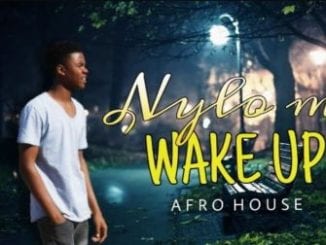 Nylo M, Wake Up, Original Mix, mp3, download, datafilehost, toxicwap, fakaza, Afro House, Afro House 2020, Afro House Mix, Afro House Music, Afro Tech, House Music