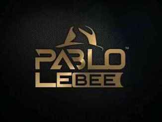 Pablo Le Bee, Pheko Ya Badimo, Christian BassMachine, mp3, download, datafilehost, toxicwap, fakaza, Gqom Beats, Gqom Songs, Gqom Music, Gqom Mix, House Music
