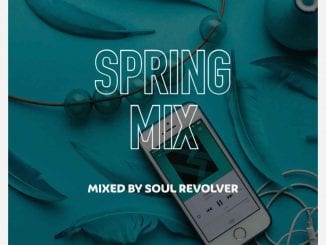 Soul Revolver, Spring Mix, mp3, download, datafilehost, toxicwap, fakaza, House Music, Amapiano, Amapiano 2020, Amapiano Mix, Amapiano Music