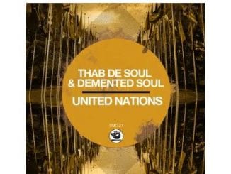 Thab De Soul, Demented Soul, United Nations, Original Mix, mp3, download, datafilehost, toxicwap, fakaza, Afro House, Afro House 2020, Afro House Mix, Afro House Music, Afro Tech, House Music
