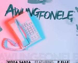 Woza Sabza, Awungfonele, P Elle, mp3, download, datafilehost, toxicwap, fakaza, Afro House, Afro House 2020, Afro House Mix, Afro House Music, Afro Tech, House Music