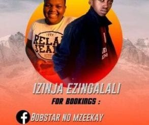 Bobstar no Mzeekay, 06 October, HBD SoyyamaH, mp3, download, datafilehost, toxicwap, fakaza, Gqom Beats, Gqom Songs, Gqom Music, Gqom Mix, House Music