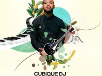 Cubique DJ, Panya Malibe, mp3, download, datafilehost, toxicwap, fakaza, Afro House, Afro House 2020, Afro House Mix, Afro House Music, Afro Tech, House Music