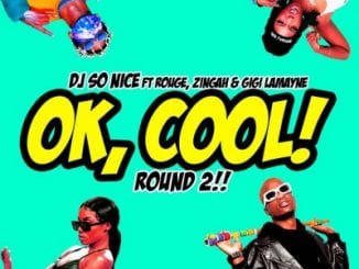 DJ So Nice, Ok, Cool! Round 2!, Rouge, Zingah, Gigi Lamayne, mp3, download, datafilehost, toxicwap, fakaza, Hiphop, Hip hop music, Hip Hop Songs, Hip Hop Mix, Hip Hop, Rap, Rap Music
