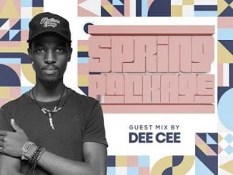 Dee Cee, Spiritual T Spring Package, Guest Mix, mp3, download, datafilehost, toxicwap, fakaza, Afro House, Afro House 2020, Afro House Mix, Afro House Music, Afro Tech, House Music